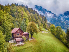 Heidi Chalet with Panoramic View